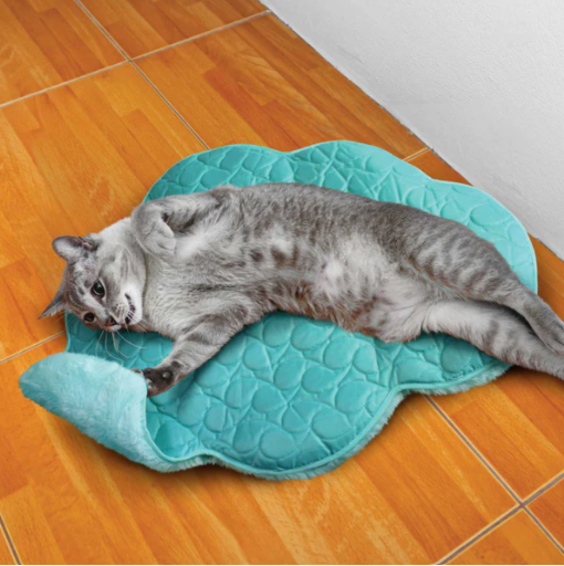 Un tapis de bien-être avec de l'arbre à chat