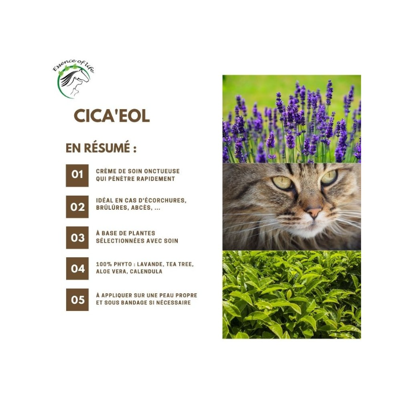 Crème soignante - Cica'eol - fabrication wallonne