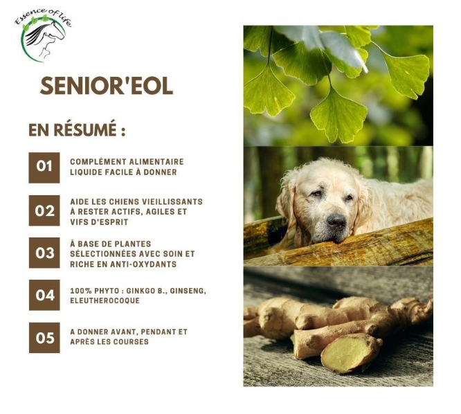 Rester actif - Senior'eol - fabrication wallonne