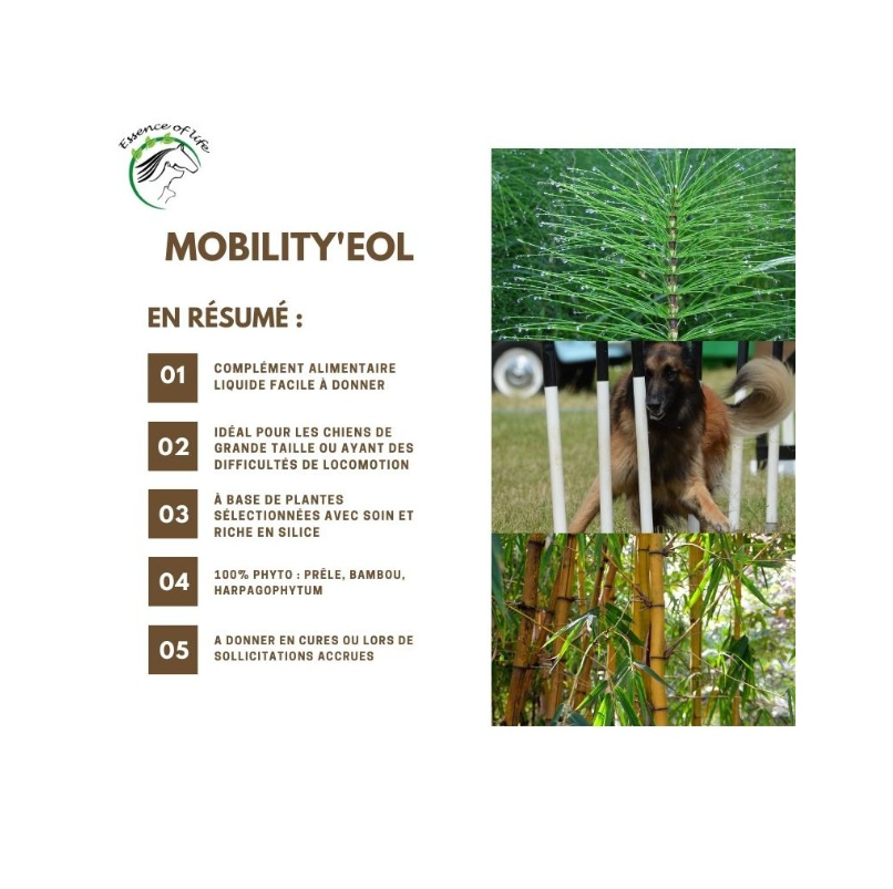 Mobilité et locomotion - mobility'eol - fabrication wallonne