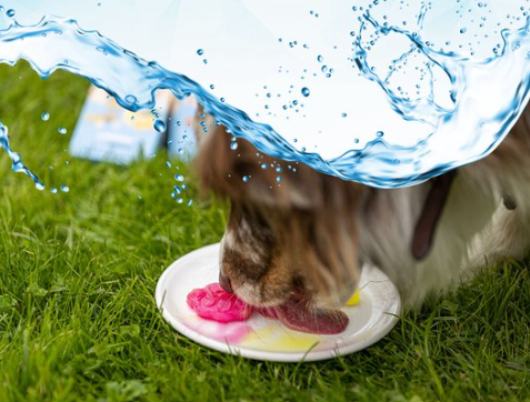 Préparez vous-même les glaces, biscuits…