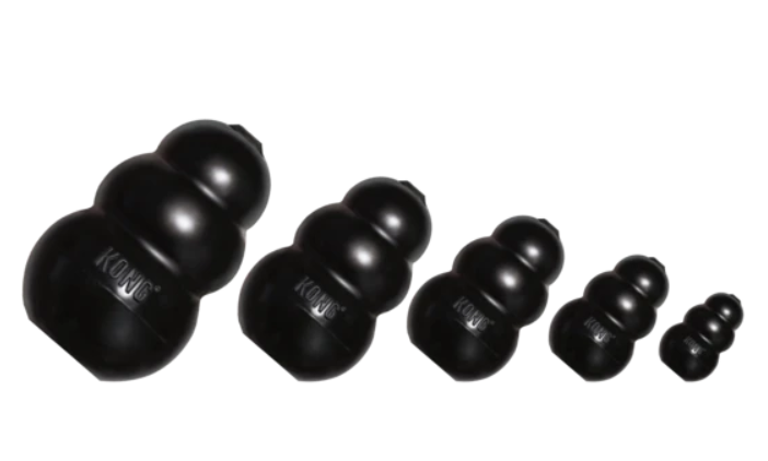 L'indispensable kong