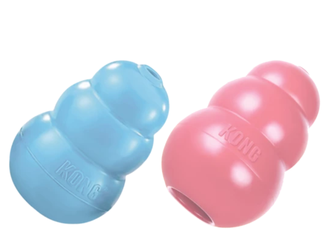 L'indispensable kong