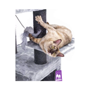 Je  joue, je dors et je surveille ....