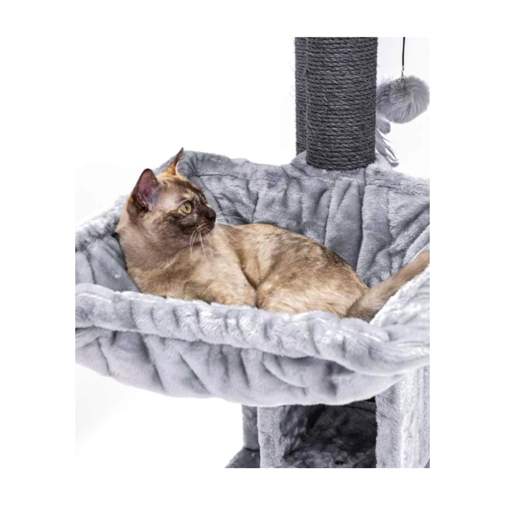 Je  joue, je dors et je surveille ....