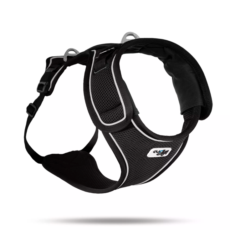 Harnais classique, sécurisé et confortable