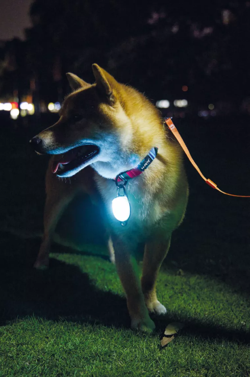 La lumière LED de sécurité multifonctionnelle, super léger, puissant