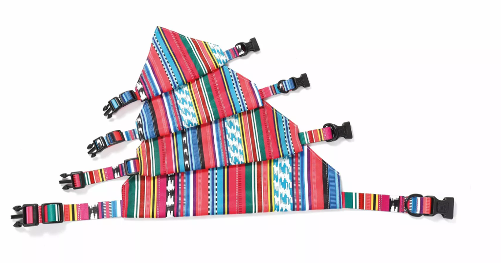 Encore plus beau avec son superbe bandana recyclé