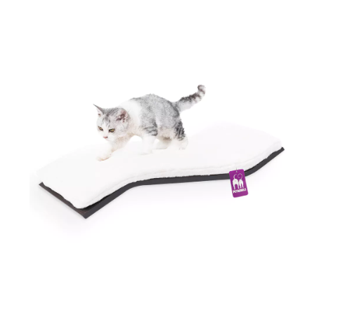 Le mur des rebelles 1