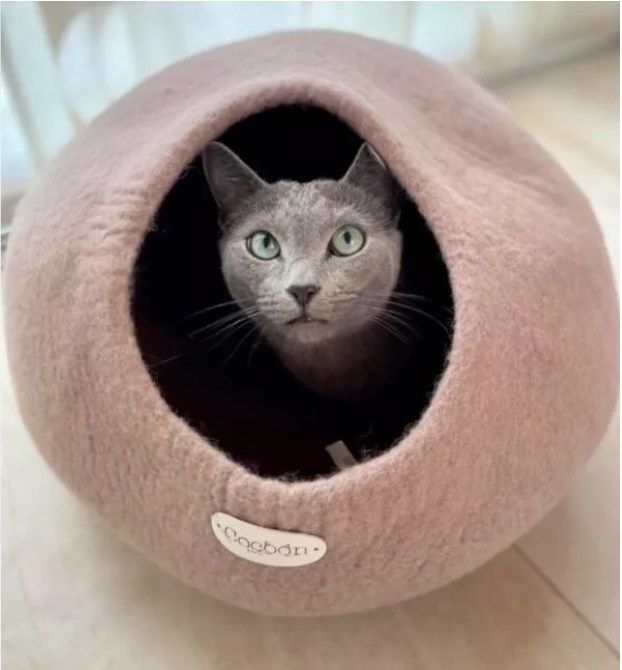 Son cocoon tout doux 100% laine