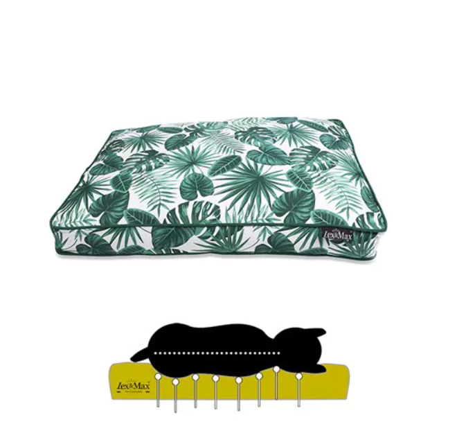 Le topissime coussin othopédique "Royal" Fleuri