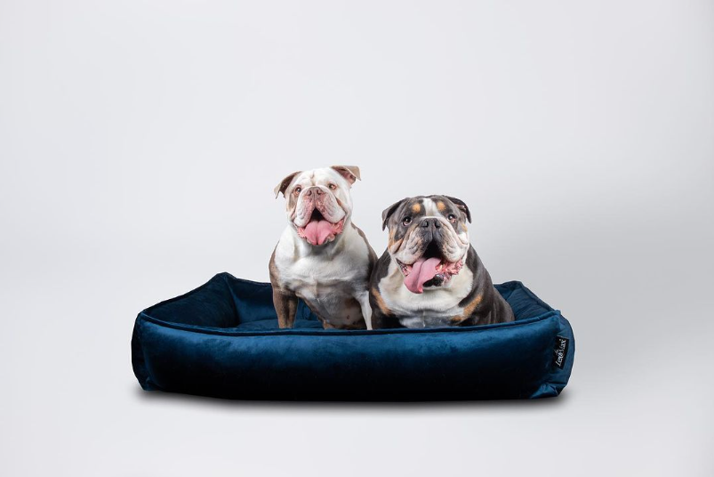 Un panier très confortable et élégant indigo