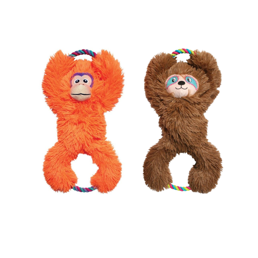 Un kong XL : Laissez votre chien s'exprimer en jouant !