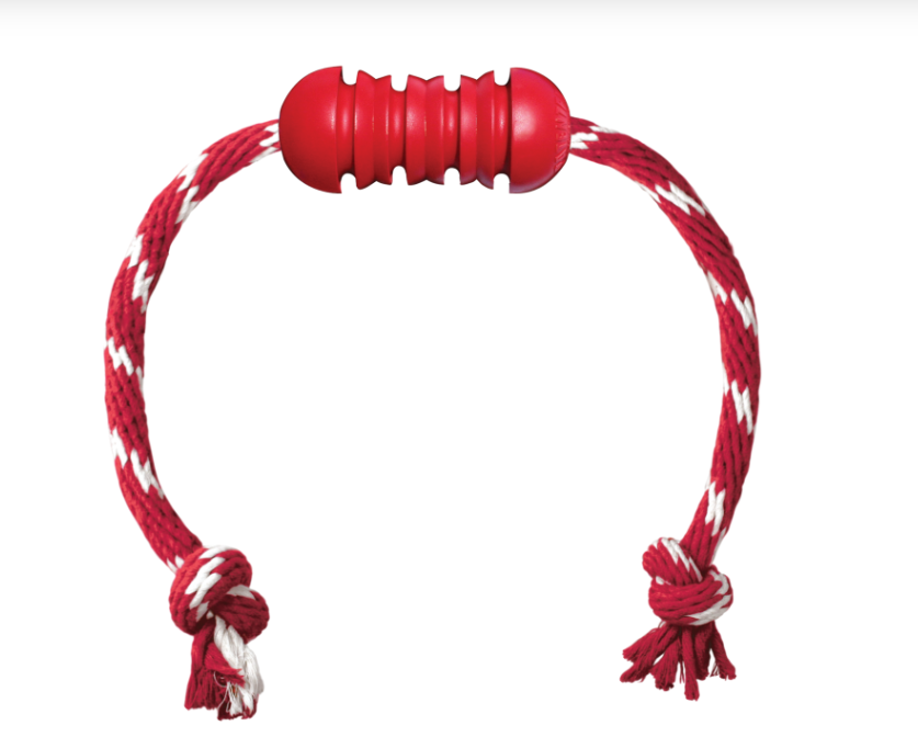 Le jouet qui prend soin des dents de votre chien tout en le divertissant !