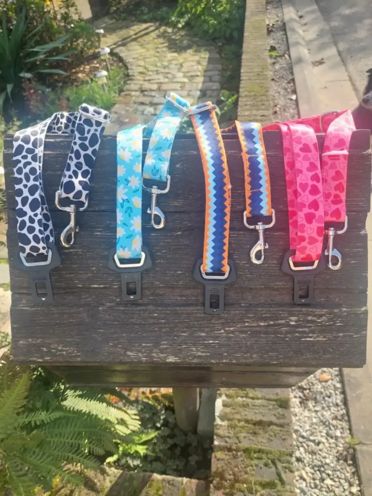 Laisse pour la voiture