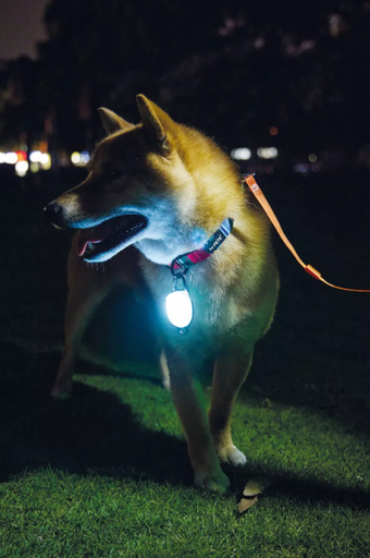 La lumière LED de sécurité multifonctionnelle, super léger, puissant