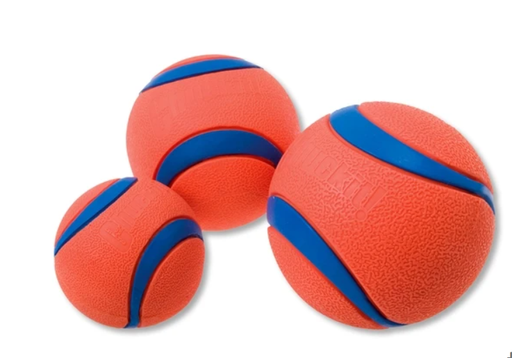 Rebondit plus haut, vole plus loin : La Chuckit Ultra Ball est imbattable !