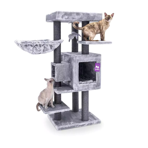 Je  joue, je dors et je surveille ....